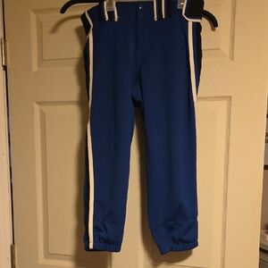 Blue Athletic Pants with White Stripes